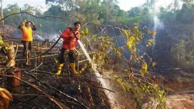 Bantuan Rp 20 Miliar untuk Karhutla Kaltim, Pengadaan Alat Ditargetkan Dua Pekan